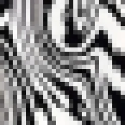 Black And White Printed Bardot Style Midi Dress
