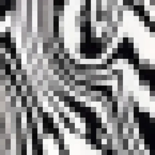 Black And White Printed Bardot Style Midi Dress
