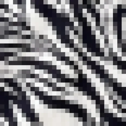 Black And White Zebra Print Flutter Sleeve Midi Dress