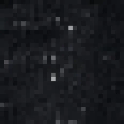 Black Sequin Jogger Trousers
