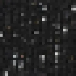 Black Sequin Round Neck Sleeveless Top