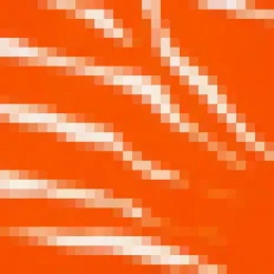 Blood Orange Printed Batwing Mini Dress