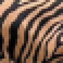 Camel Zebra Print Shoulder Padded Midi Dress