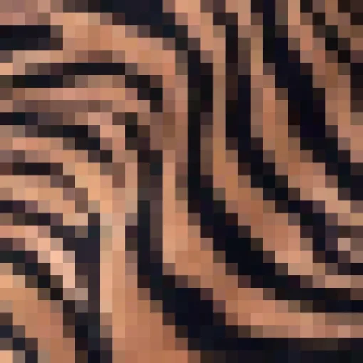 Camel Zebra Print Wrap Skater Dress