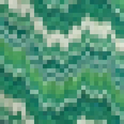 Green Abstract Printed Trousers