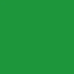 Green Ruched Bodycon Midi Dress