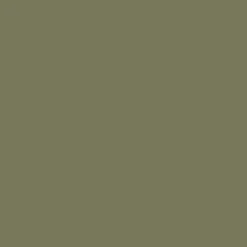 Khaki V-Neck Short Sleeve Belted Elasticated Cuff Jumpsuit