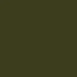 Olive Halter Neck Shirred Waist Pleated Jumpsuit