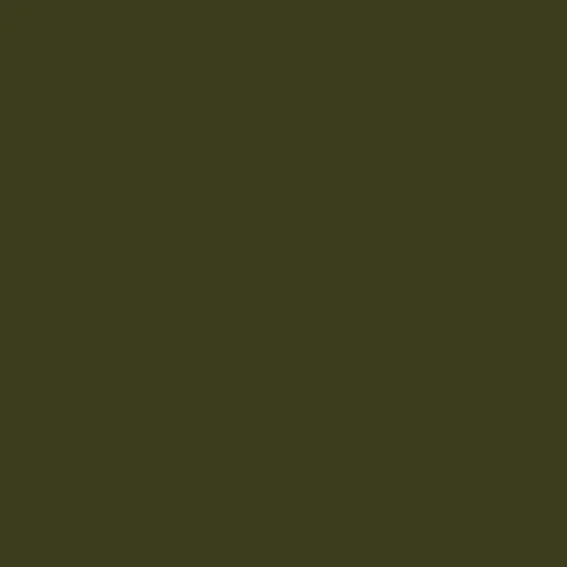 Olive Halter Neck Shirred Waist Pleated Jumpsuit