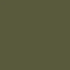 Olive Satin Long Sleeve Gold Button Shirt