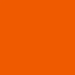 Orange Bardot Top