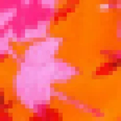 Pink And Orange Floral Printed High Neck Tie Front Playsuit