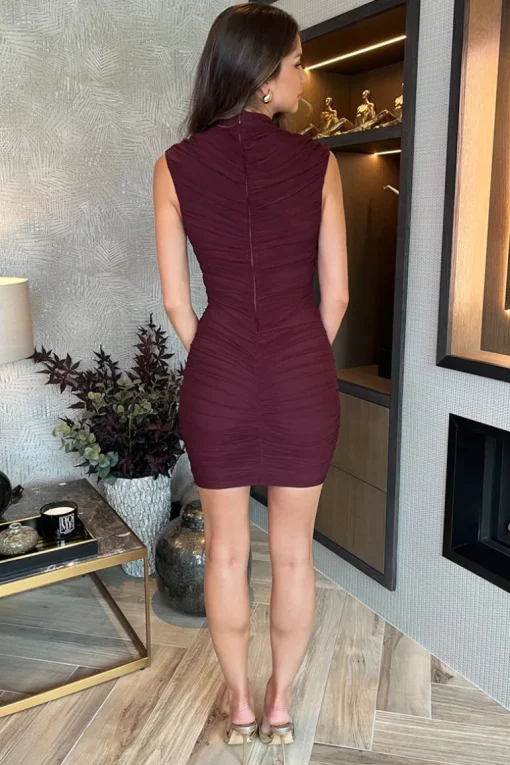 Plum High Neck Bodycon Ruched Mesh Mini Dress