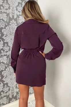 Plum Pleated Gathered Long Sleeve Mini Dress