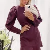 Plum Pleated Long Sleeve Skater Dress