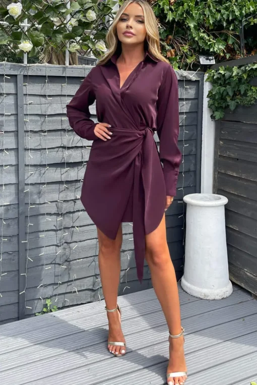 Plum Tie Wrap Long Sleeve Mini Dress