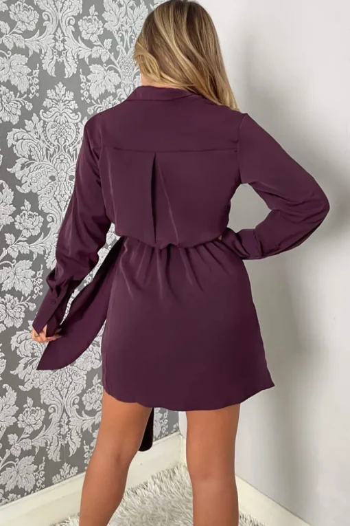 Plum Tie Wrap Long Sleeve Mini Dress