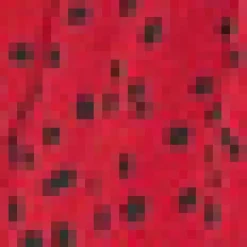 Red And Black Printed Smock Top
