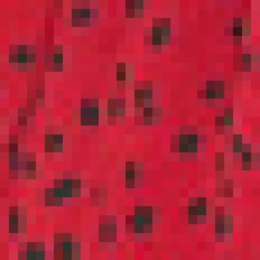 Red And Black Printed Smock Top