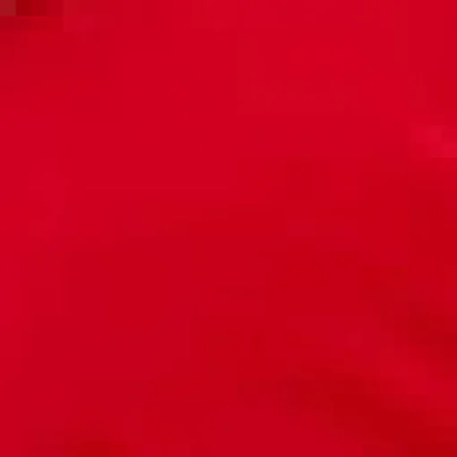 Red Belted Pleated Skirt Midi Dress