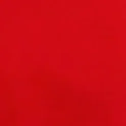 Red Halter Neck Tie Waist Playsuit