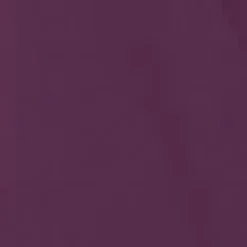 Wine Batwing Gathered Top Mini Dress