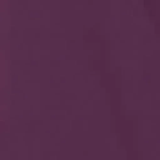 Wine Batwing Gathered Top Mini Dress