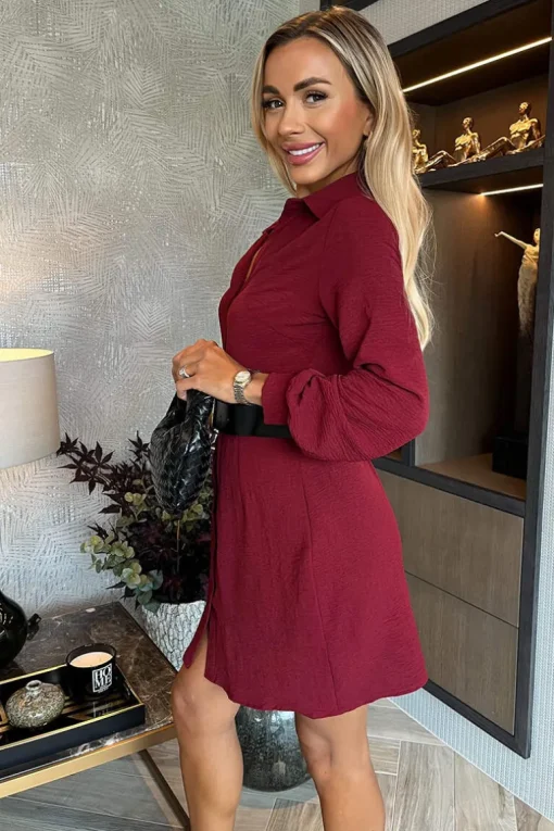Wine Button Front Belted Shirt Mini Dress