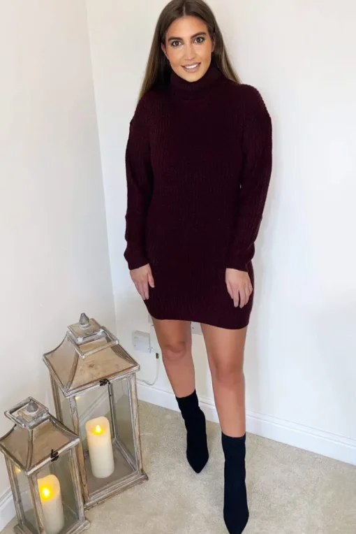 Wine Roll Neck Knit Jumper Dress