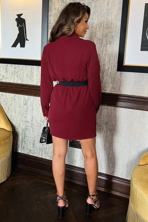 Wine Wrap Top Long Sleeve Belted Mini Dress